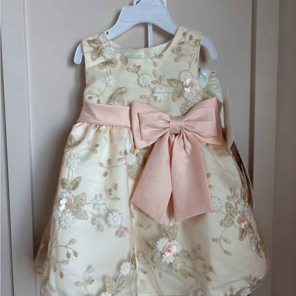 NWT Rare Editions Floral Embroidered Dress with Bow Baby Girl 18M